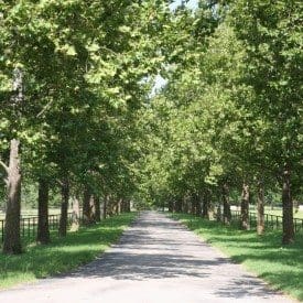 Agriculture categories locations guide