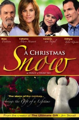 A Christmas Snow Film