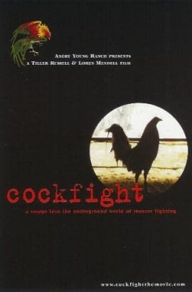Cockfight Film